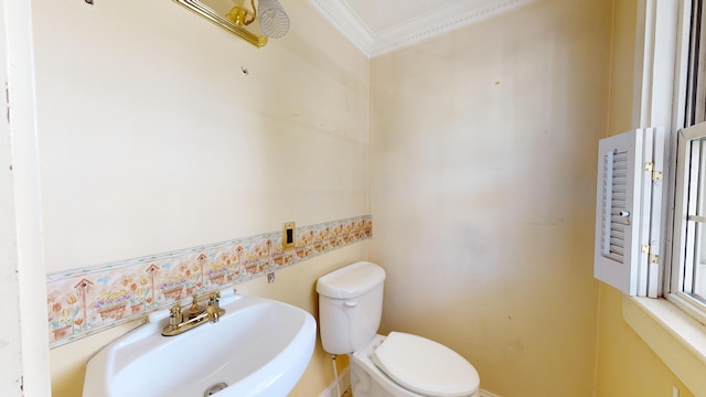 bathroom with crown molding, sink, and toilet