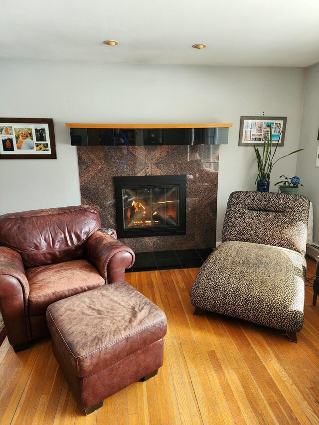 living room featuring a fireplace and wood-type flooring