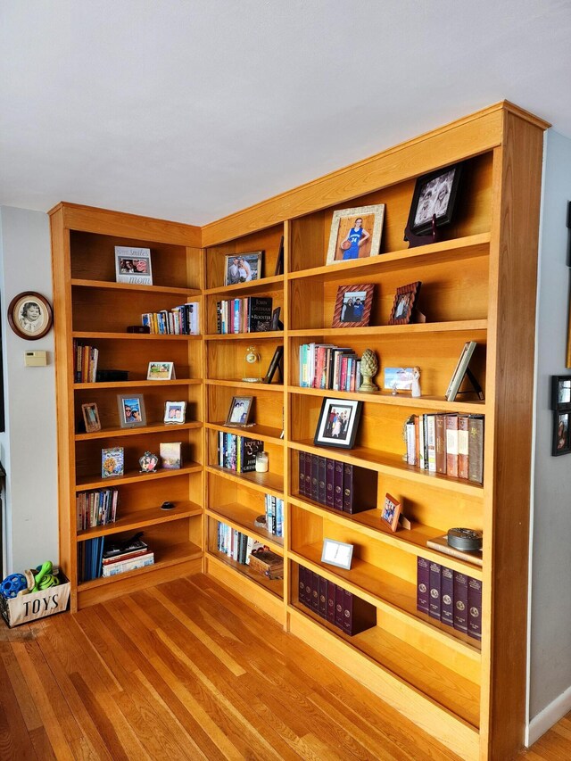 living area featuring light hardwood / wood-style flooring