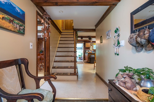 interior space featuring crown molding