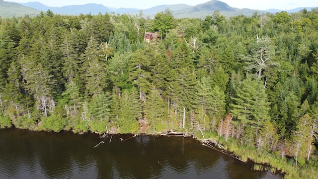 bird's eye view featuring a water and mountain view