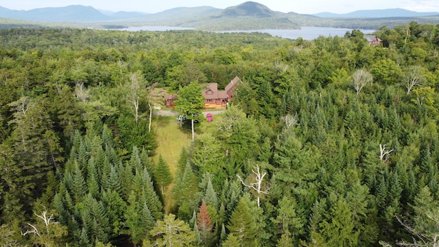 61 Sawyer Pond Highlands, Greenville, ME 04441 - drone / aerial view featuring a mountain view and a view of trees