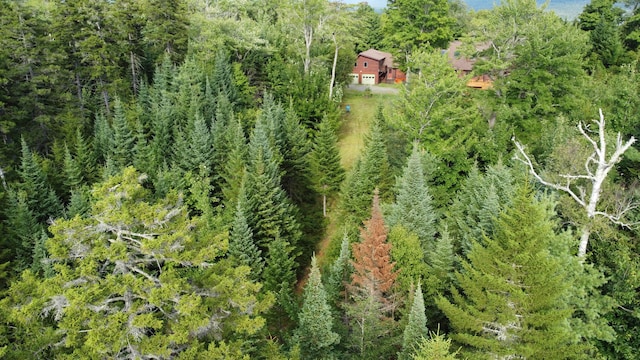 61 Sawyer Pond Highlands, Greenville, ME 04441 - drone / aerial view featuring a wooded view