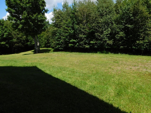 61 Sawyer Pond Highlands, Greenville, ME 04441 - view of yard with a view of trees