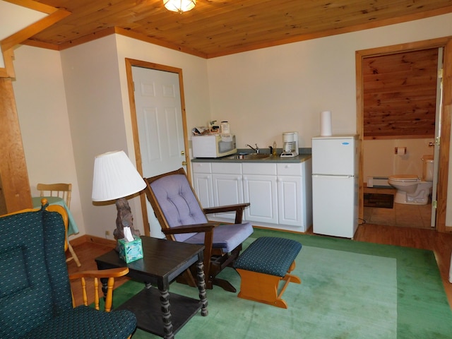 61 Sawyer Pond Highlands, Greenville, ME 04441 - sitting room with wooden ceiling and a baseboard radiator