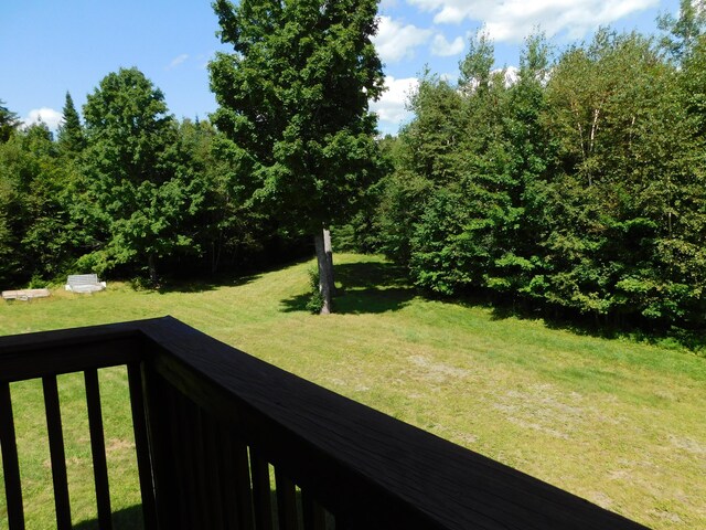 61 Sawyer Pond Highlands, Greenville, ME 04441 - view of yard