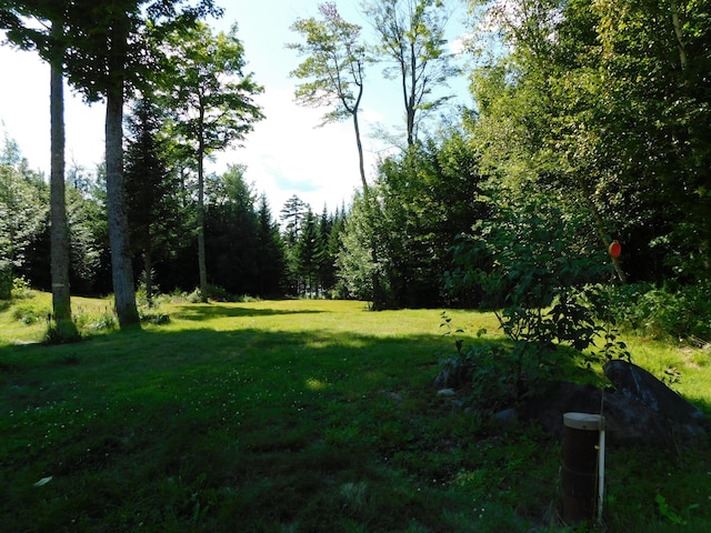 61 Sawyer Pond Highlands, Greenville, ME 04441 - view of yard