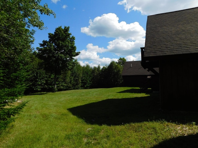 61 Sawyer Pond Highlands, Greenville, ME 04441 - view of yard