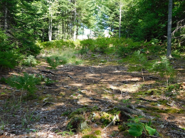 61 Sawyer Pond Highlands, Greenville, ME 04441 - view of local wilderness