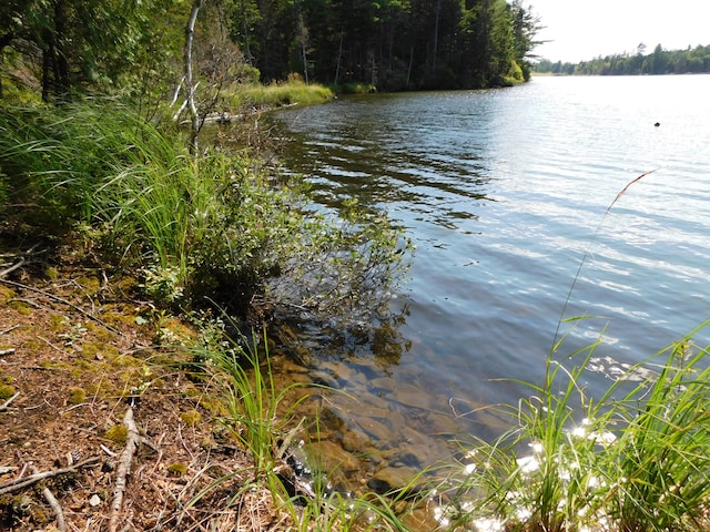 view of water feature