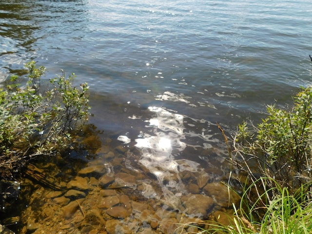 61 Sawyer Pond Highlands, Greenville, ME 04441 - property view of water