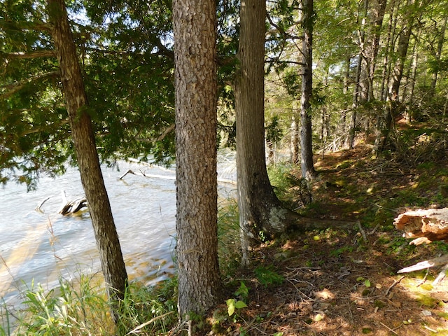 view of water feature