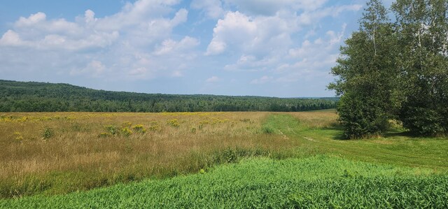 view of landscape