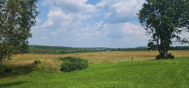 view of local wilderness featuring a rural view