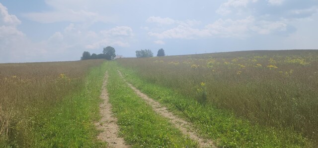 view of street with a rural view