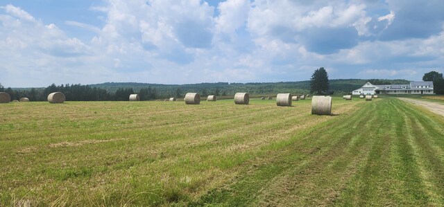 view of yard featuring a rural view