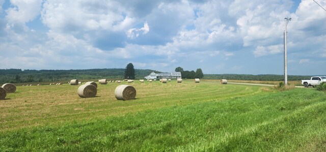 view of yard with a rural view