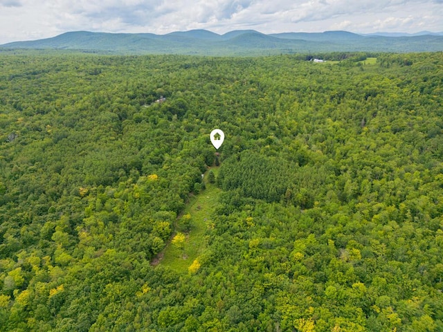 drone / aerial view featuring a mountain view