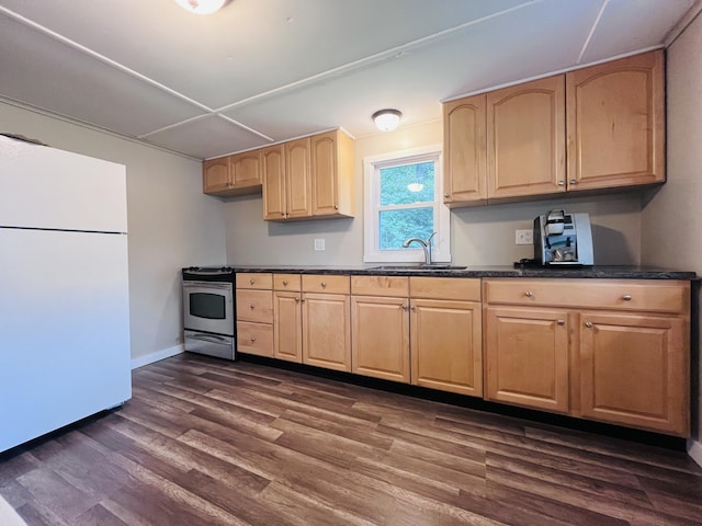 kitchen featuring white fridge, sink, dark wood-type flooring, and stainless steel electric range