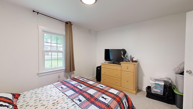 bedroom featuring carpet