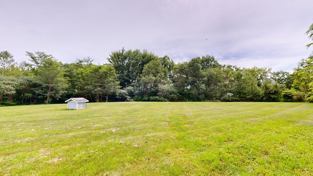 view of yard featuring a shed