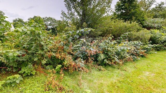 view of landscape