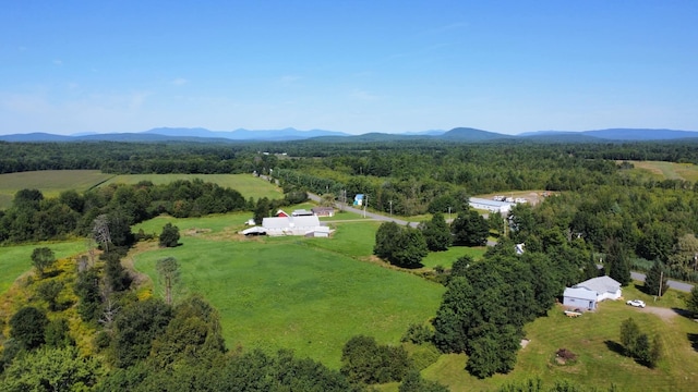 drone / aerial view featuring a mountain view