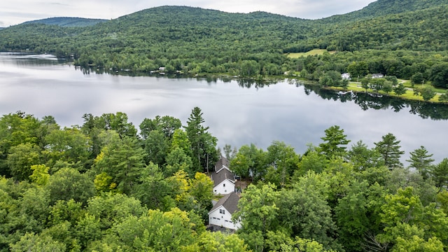 birds eye view of property with a water and mountain view