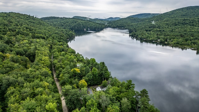 drone / aerial view featuring a water and mountain view