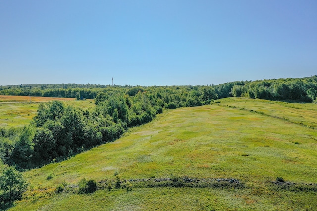 drone / aerial view featuring a rural view