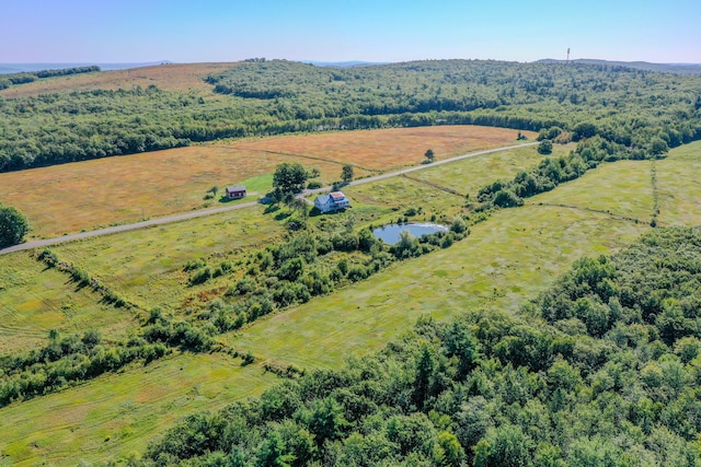 drone / aerial view featuring a water view and a rural view