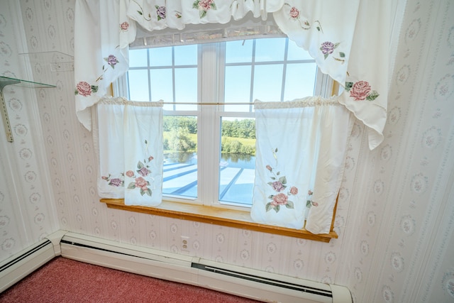 room details featuring a baseboard radiator and carpet