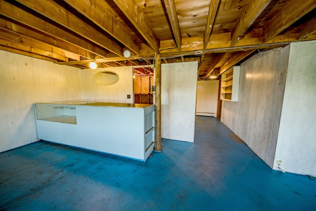 basement featuring wooden walls