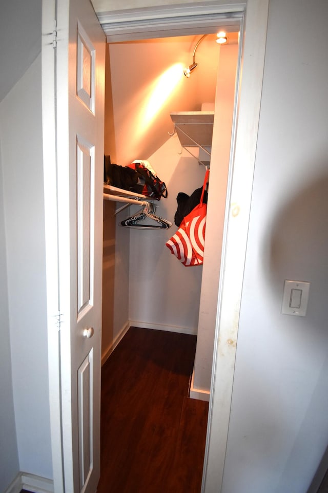 walk in closet featuring dark wood-type flooring