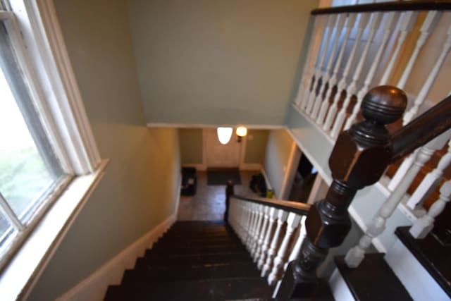 stairway with wood-type flooring