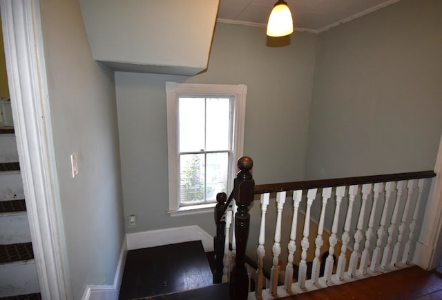 staircase with crown molding and hardwood / wood-style floors