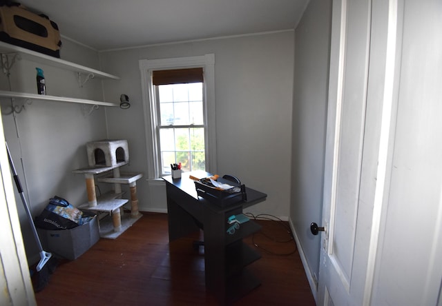 office space featuring ornamental molding and dark wood-type flooring