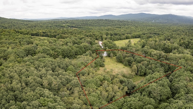 birds eye view of property with a wooded view and a mountain view