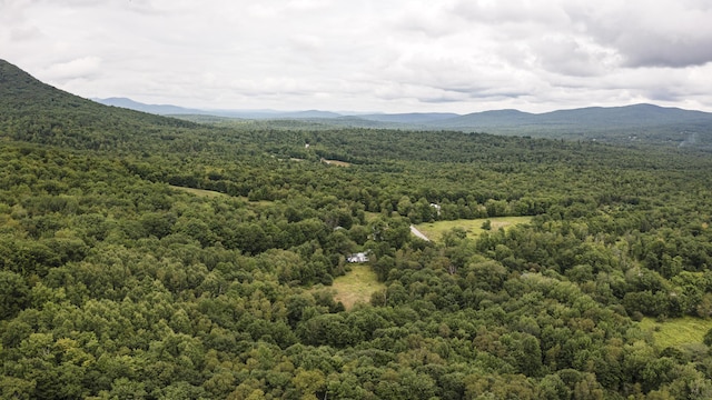 property view of mountains with a view of trees