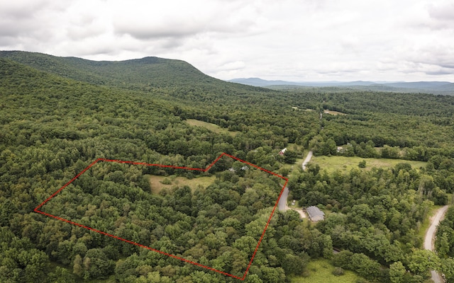 bird's eye view featuring a wooded view and a mountain view