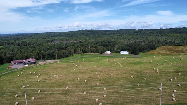 drone / aerial view with a rural view