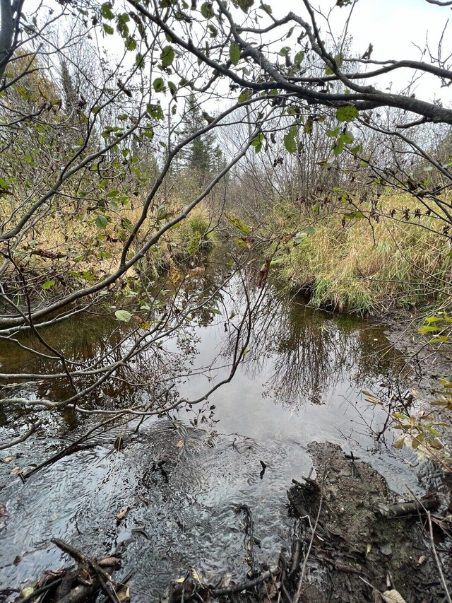 P/O15 Airport Ave, Frenchville, ME 04745 - photo 9