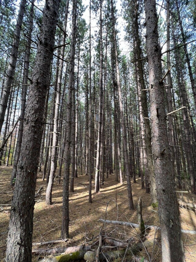 P/O15 Airport Ave, Frenchville, ME 04745 - photo 8