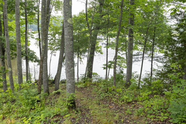 view of local wilderness with a water view