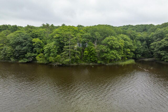 view of water feature