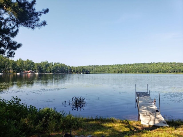 property view of water with a boat dock