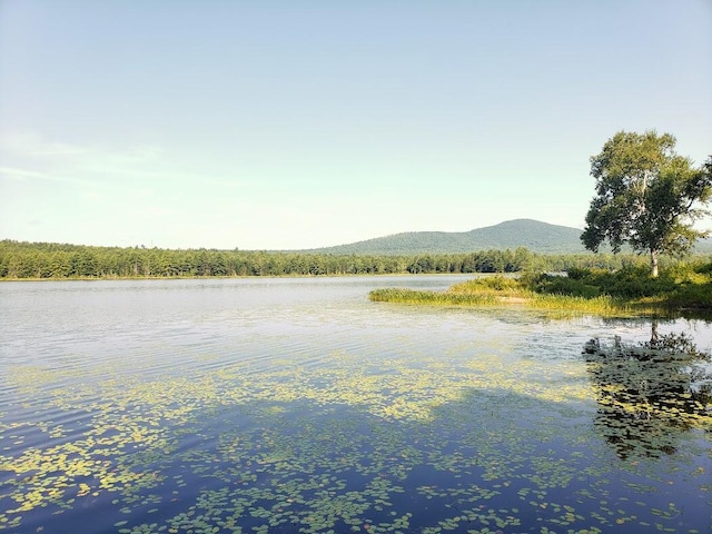 property view of water featuring a mountain view