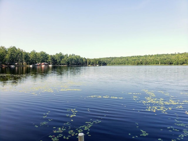 water view