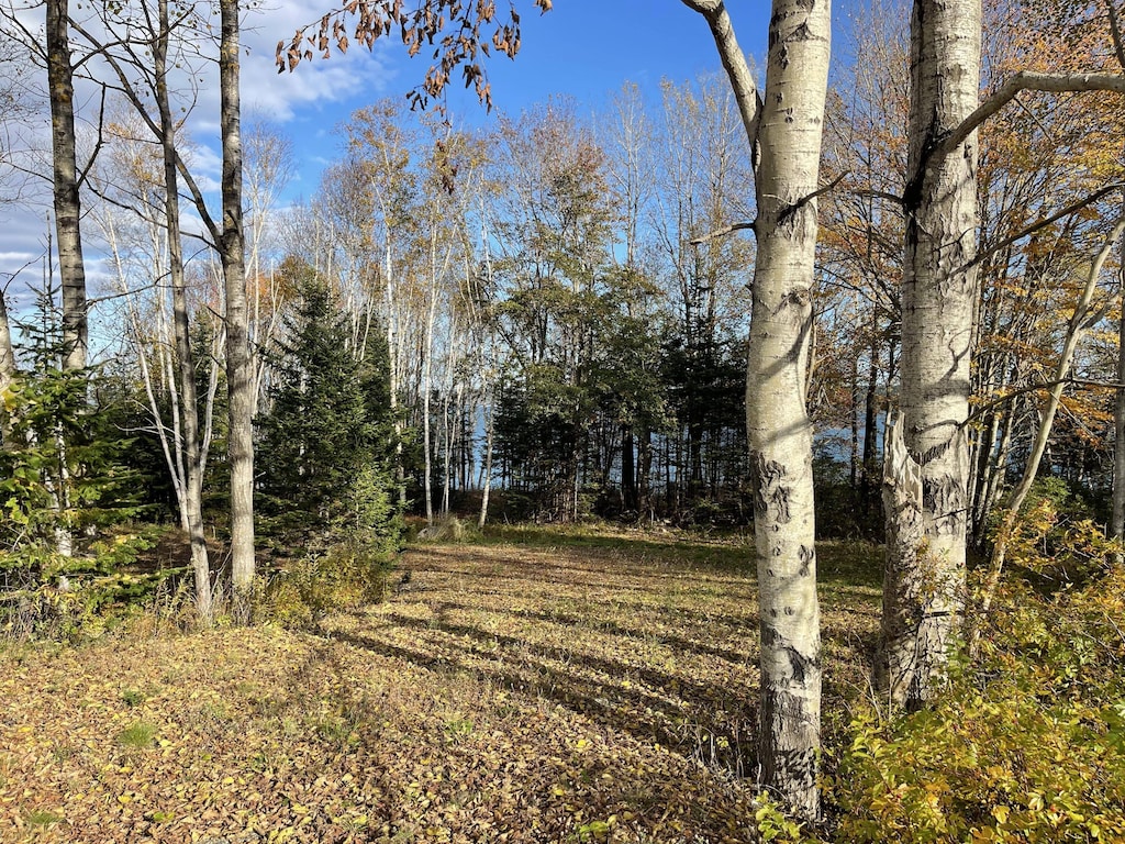 855 Mason Bay Rd, Jonesport, ME 04649 - photo 3