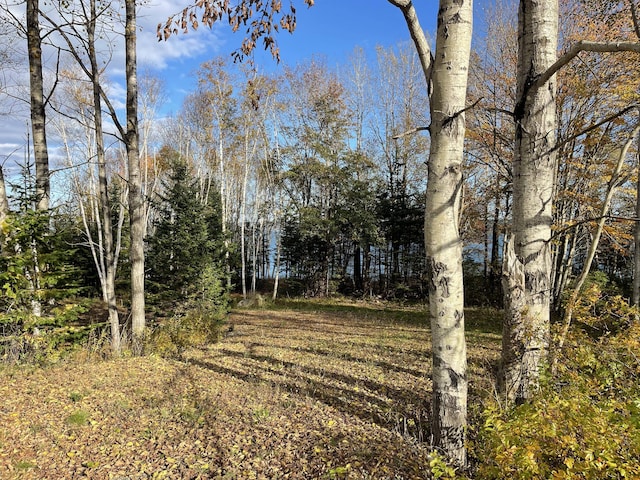 855 Mason Bay Rd, Jonesport, ME 04649 - photo 3